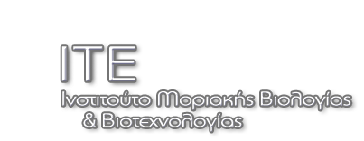 imbb mobile logo