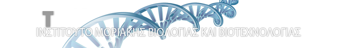 IMBB logo