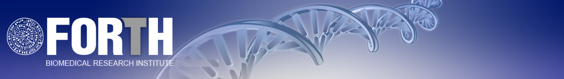 imbb logo